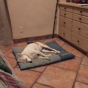 Meet your Posher, Toni